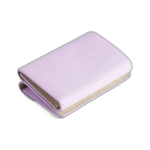 Envelope Mini Wallet