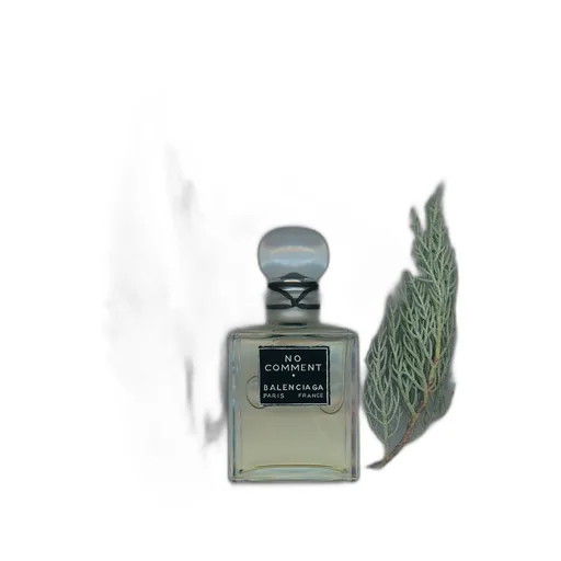 No Comment Parfum