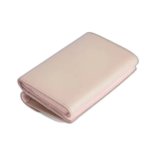 Envelope Mini Wallet