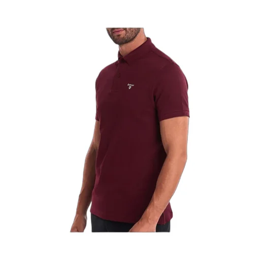 Logo Embroidered Polo Shirt