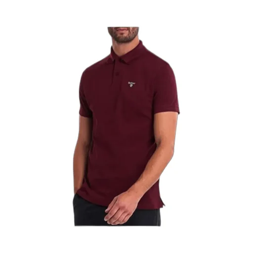 Logo Embroidered Polo Shirt