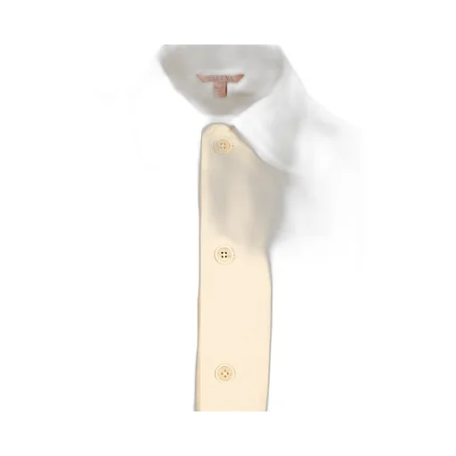 Cedrone Vion Button-Up Shirt