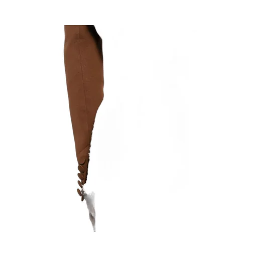 Frayed Hem Shorts