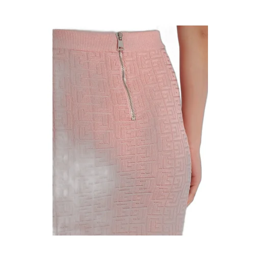Pb Labyrinth Knit Skirt