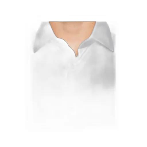 Long-Sleeved Shirt
