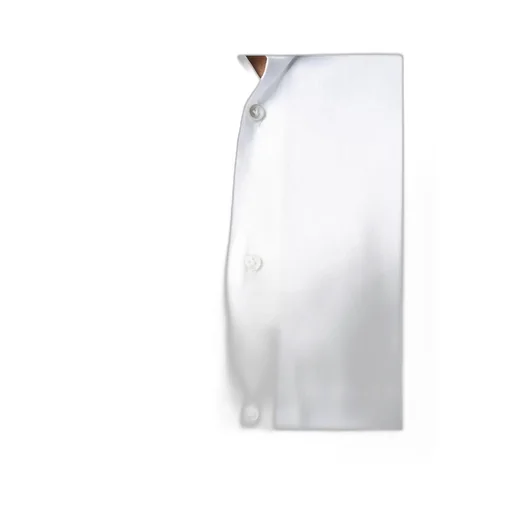 Poplin Shirt