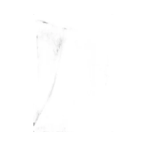 Straight Leg Tailored Pants