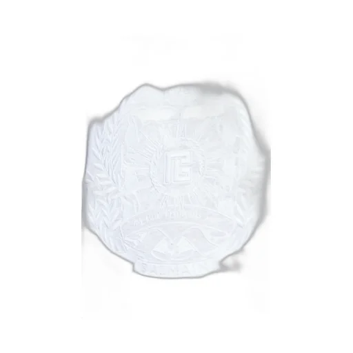 Logo Detailed Crewneck T-Shirt