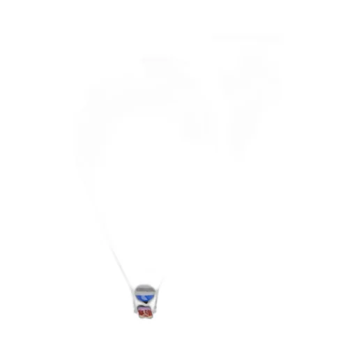 Rapil Necklace