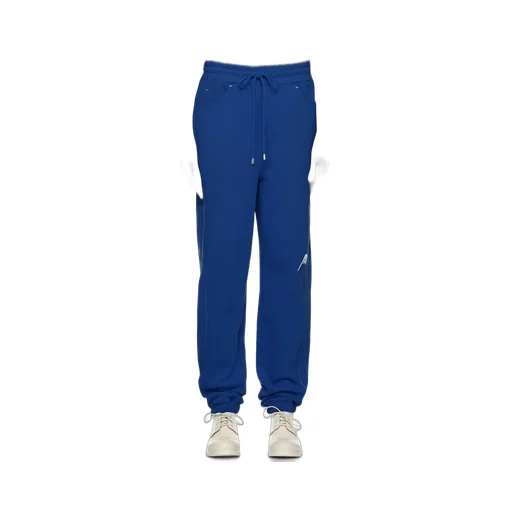 Drawcord Elastic Waist Sweatpants
