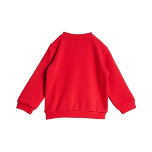 Long Sleeve Sweatshirt And Sweatpants Set