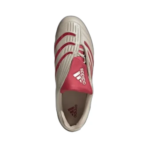 Predator Sala Shoes