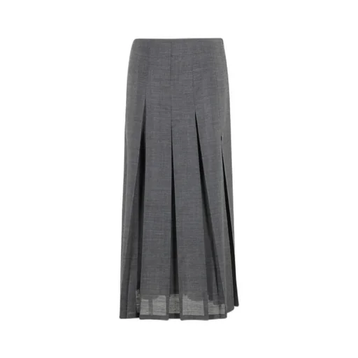 Pleated Voile Skirt