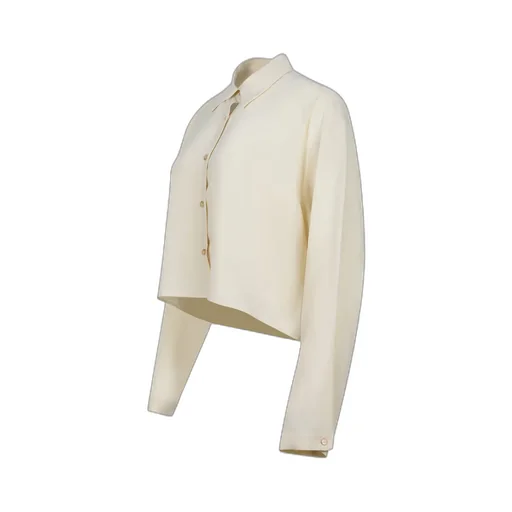 Long Sleeve Cropped Shirt