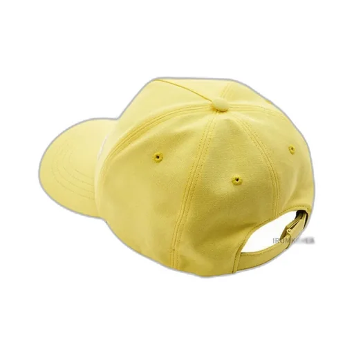 Baseball Dome