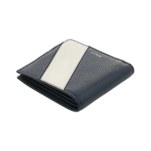 Double-Fold Wallet