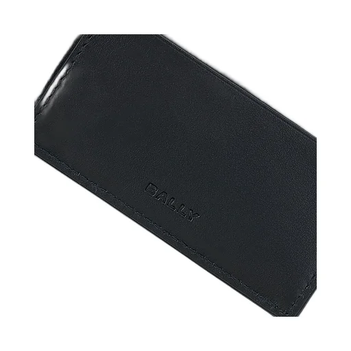 Double-Fold Wallet