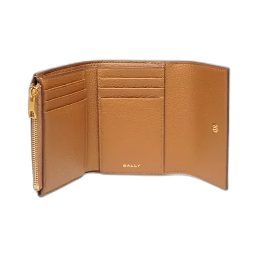 Three-Fold Wallet