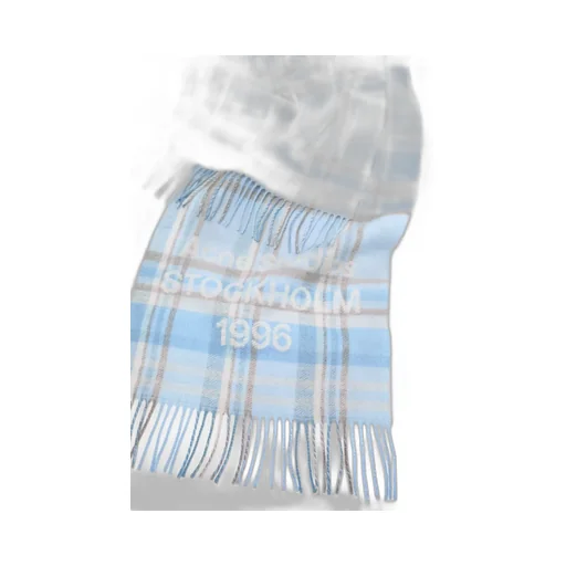Plaid Fringed Scarf