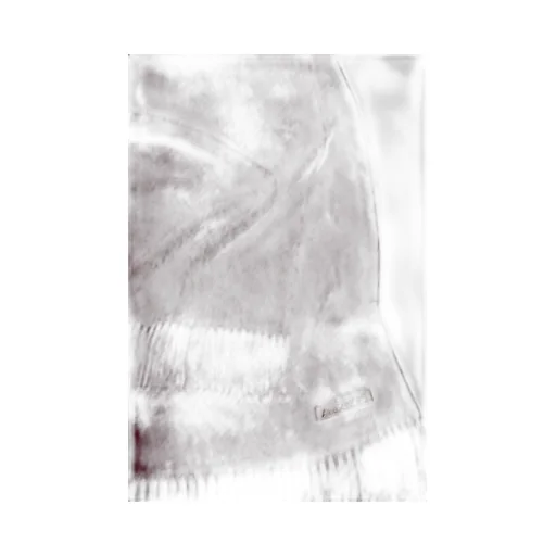 Logo Patch Fringed Scarf