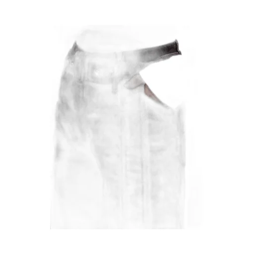 Belted Loose-Leg Jeans