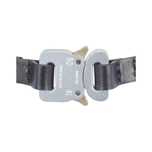 Buckle Chain Necklace