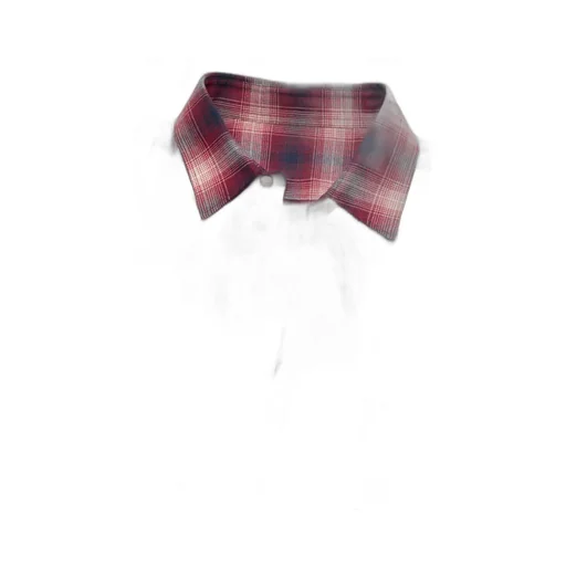 Checked Button-Up Shirt