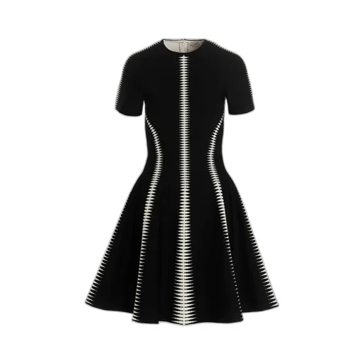 Spine Jacquard-Pattern Flared Mini Dress
