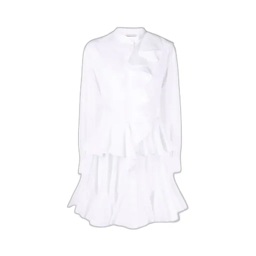 Ruffled Detail Mini Dress