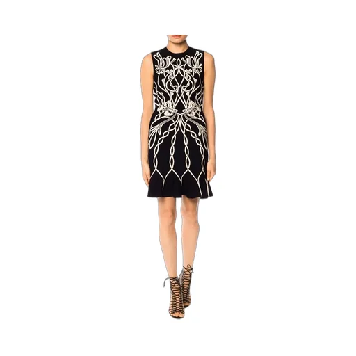 Embroidered Dress