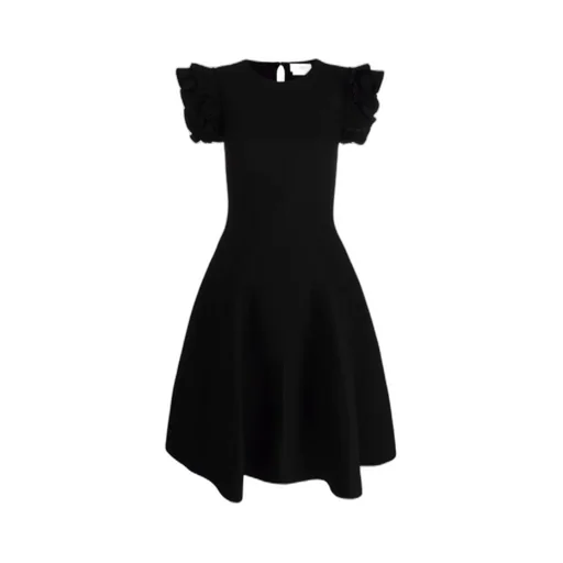 Ruffled Sleeve Mini Dress