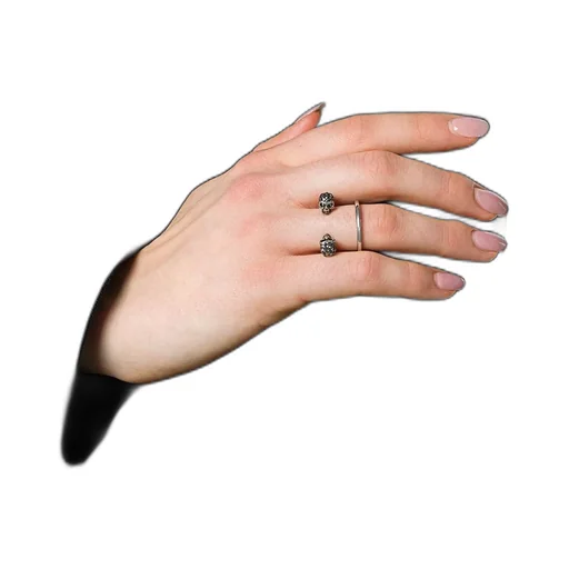 Twin Skull Ring