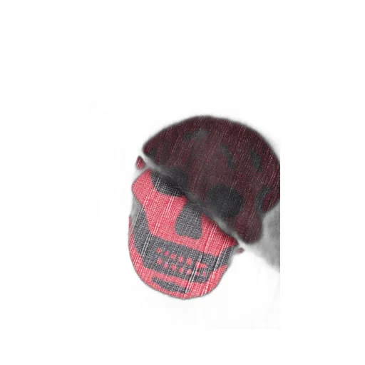 Skull Printed Scarf