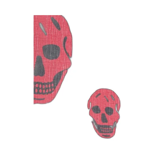 Skull Printed Scarf