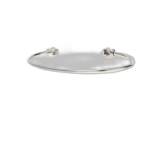 Twin Skull Slip-On Bracelet