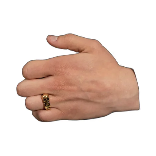 Skull Motif Chain Ring