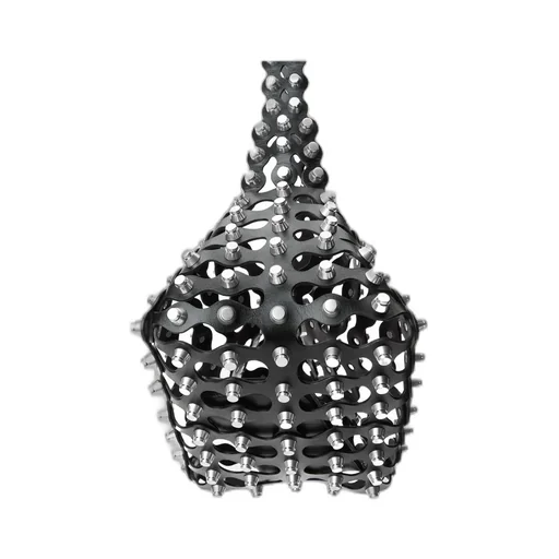 Rex Medium Hobo Bag