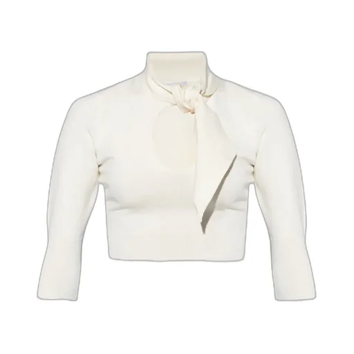 Pussybow Ribbed Cropped Top