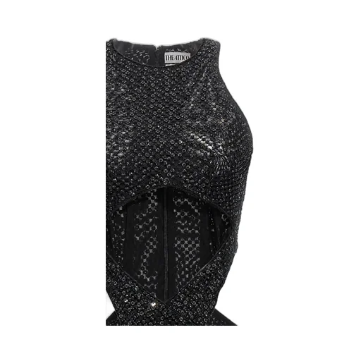 Sequin Embellished Sleeveless Dress