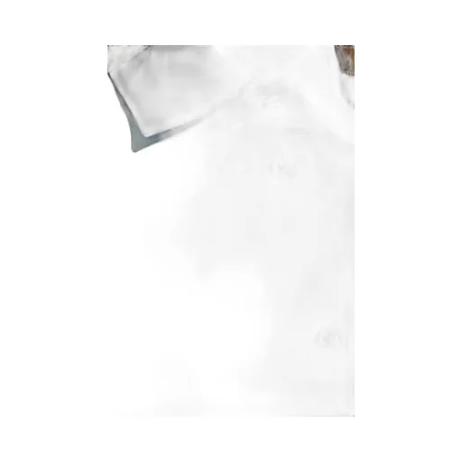 Eliza Shirt