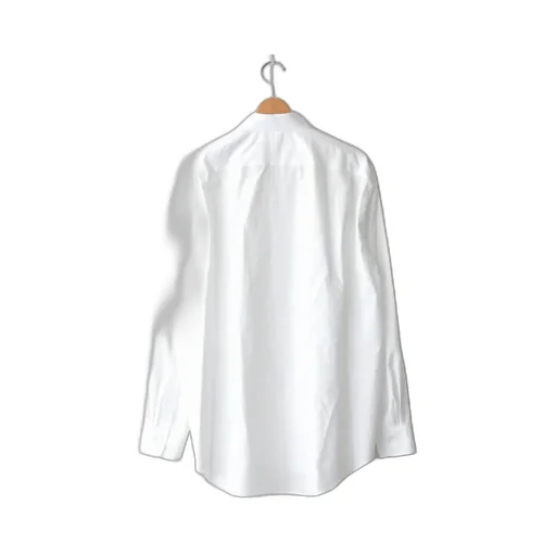 Classic Button-Up Shirt