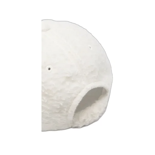 Logo-Patch Cap