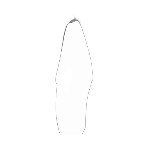 Le Neige Tote Bag