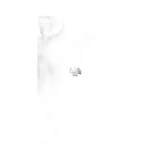 Logo Embroidered Crewneck T-Shirt