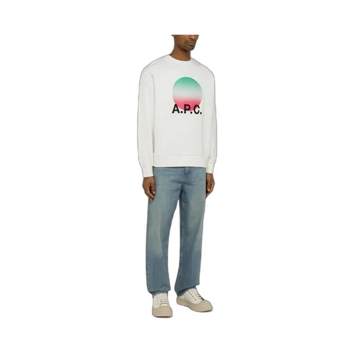 Graphic Printed Crewneck Sweatshirt