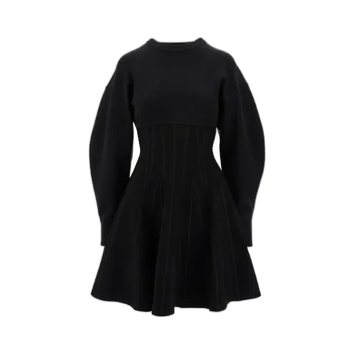 Long Sleeved Crewneck Mini Dress