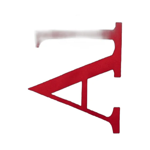 Logo Embroidered Scarf