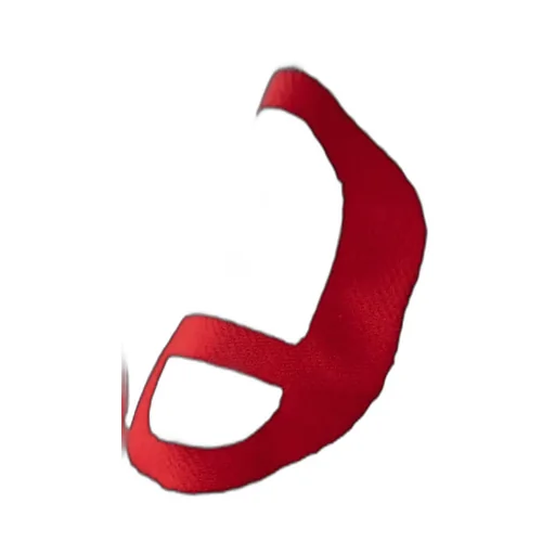 Logo Embroidered Scarf