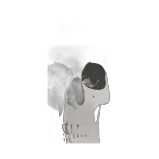 Skull Printed Crewneck T-Shirt