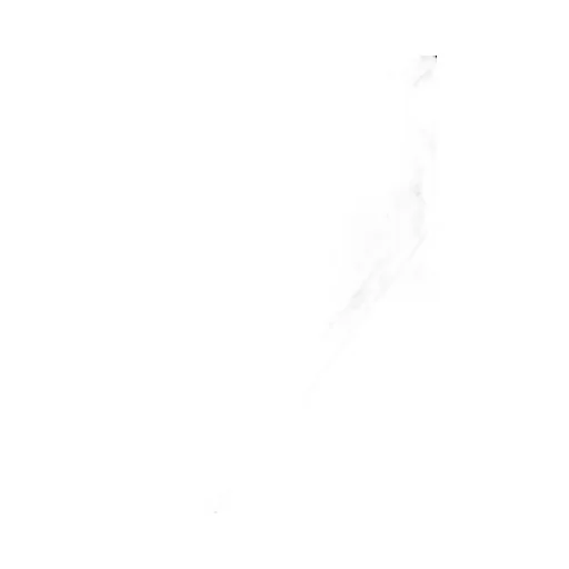 Straight-Leg Trousers